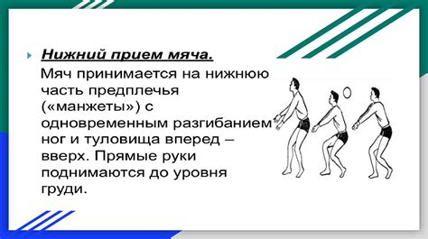 Мой любимый вид спорта - волейбол - презентация онлайн