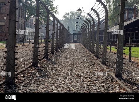 Barbed Wire Fences At Auschwitz Birkenau Concentration Camp Poland