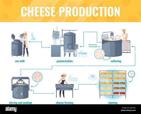 Proceso Técnologico de la Pasteurización de la Leche YouTube