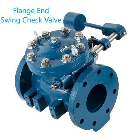 Dn Dn Large Diameter Lever And Weight Swing Check Valve With Air