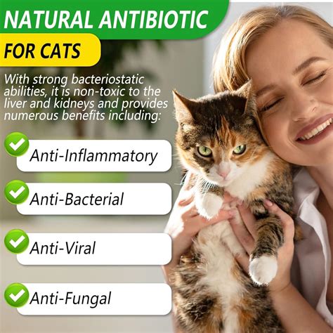 Cat Antibiotics 60ml Natural Antibiotics For Cats Supports Immune Health Cat Itchy Skin Relief