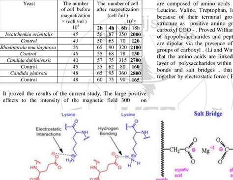 Salt bridges linked of amino acids | Download Scientific Diagram