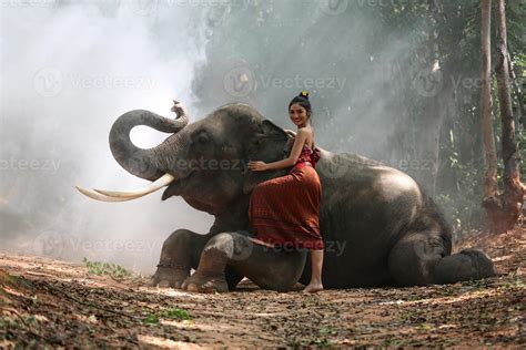 Elephant With Beautiful Girl In Asian Countryside Thailand Thai