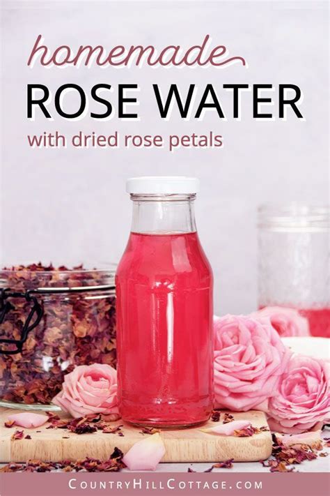 DIY Rose Water Recipe With Tips For Benefits Uses Infusion Method