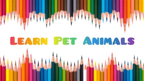 Learn Pet Animals Pre School Learn English Words Spelling Video