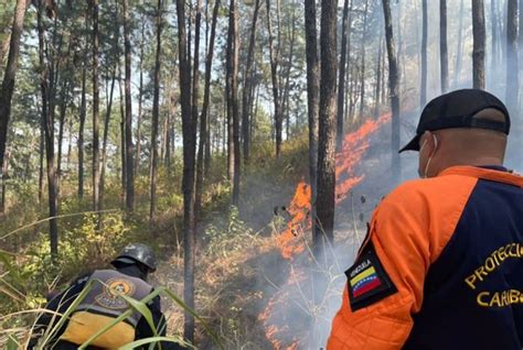 Piden activar planes de prevención de incendios forestales en Venezuela