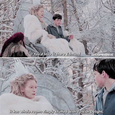 Pin By Koddy Pevensie On Chronicles Of Narnia Narnia Chronicles Of