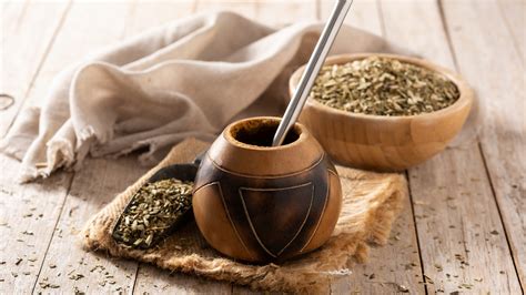 Yerba Mate Health Benefits The Ilex Paraguariensis Plants Leaves