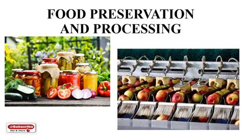 Food Preservation Food Processing Lecture Youtube