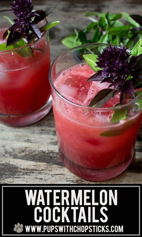 Soju Watermelon Cocktail | Watermelon cocktail, Cocktail drinks recipes, Watermelon cocktail recipes