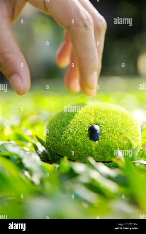 green computer mouse concept Stock Photo - Alamy