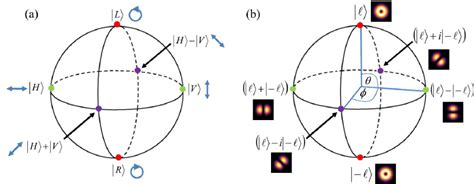 A Poincaré Sphere Representation For The States Of Polarization B