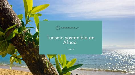 Turismo Sostenible En África Una Experiencia Auténtica Ndm