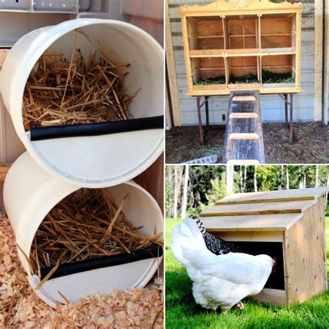 30 DIY Chicken Nesting Boxes (Learn How to Build Yours)