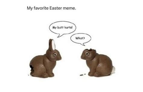 23 Funny Easter Memes That Make as Much Sense as a Rabbit Laying ...