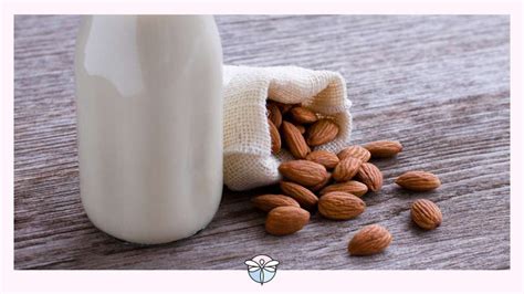 Best Nut Milk Bag Picks For Home Made Plant Based Milk