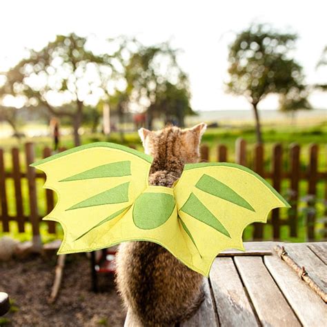 Sdjma Halloween Cat Costume Adjustable Cat Flying Dragon Wing