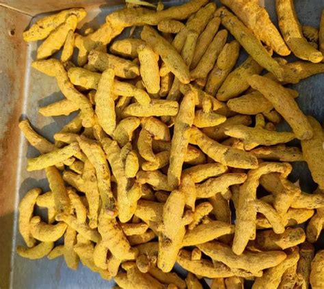 Organic Turmeric Finger At Rs 120 Kg Haldi Stick In Chennai ID