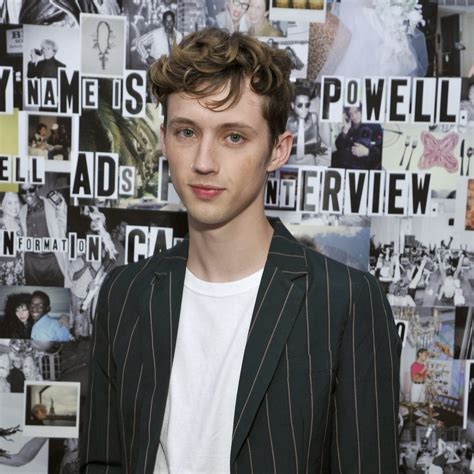 Troye Sivans Silver Hair Color Ps Beauty