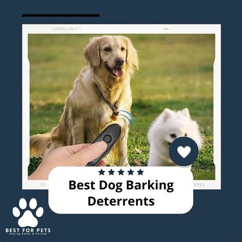 The 11 Best Dog Barking Deterrents [Update 2024 ] - BestForPets.org