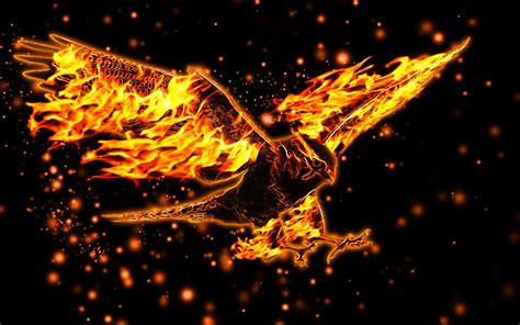 Fire Eagle Wallpapers Wallpaper Cave