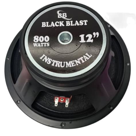 Black Blast Instrumental Speaker W With Free Screen Mesh Lazada Ph