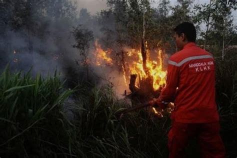 Kembali Naik Sore Ini Titik Panas Di Riau Paling Banyak Se Sumatera