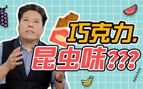 猜一猜：每块巧克力能“合法”含有多少条虫 哔哩哔哩