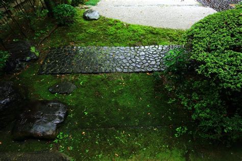 緑の苔が美しい御香宮神社の庭園 日本庭園 枯山水 庭