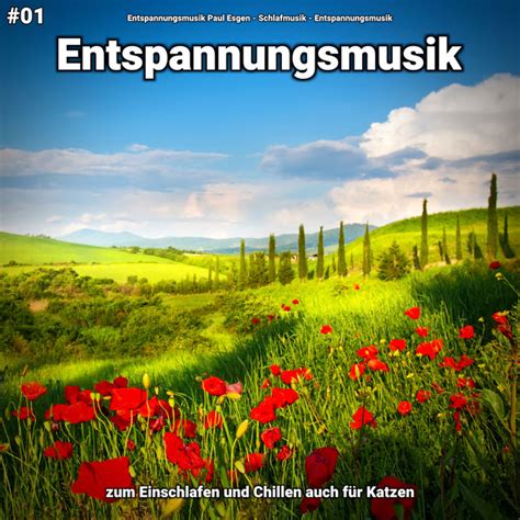 Sounds für Geist und Körper song by Entspannungsmusik Paul Esgen