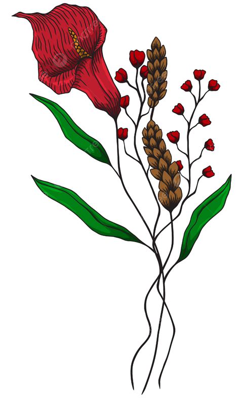 Hand Drawn Wild Flowers Vector Wild Flowers Hand Drawn Natural Png