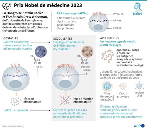 Le Nobel De M Decine Consacre Les Avanc Es Sur Le Vaccin Arn Messager