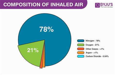 Gases In The Air For Kids