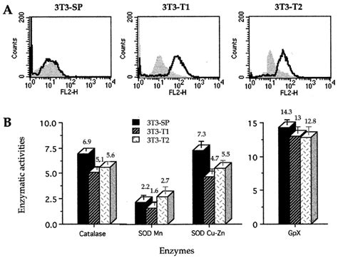 Reactive Oxygen Species Ros Level And Activity Of Antioxidant Enzymes Download Scientific