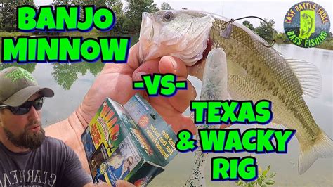 Banjo Minnow Vs Modern Rigs Wacky And Texas Bass Fishing Youtube