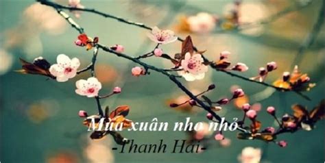 Mùa Xuân Nho Nhỏ | Trường THPT Vĩnh Viễn TPHCM