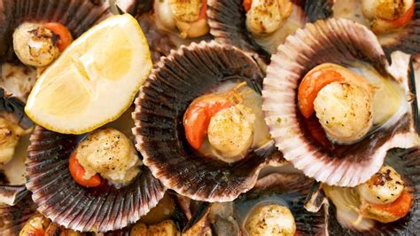 Как приготовить морские гребешки: 9 вкусных рецептов приготовления ...