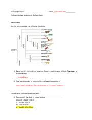 Phylogenetics Lab Assignment Docx Review Questions Name Cynthia