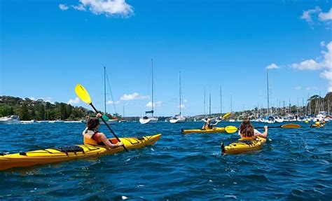 Sea Kayaking Basic Skills Paddling Techniques And Expedition