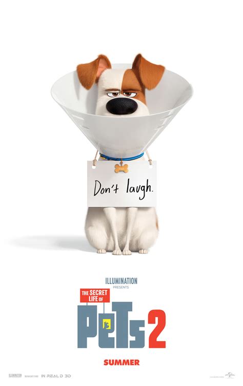 The Secret Life Of Pets 2 Dvd Release Date August 27 2019