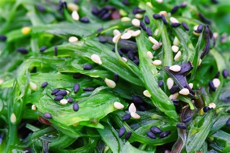 Salade De Chuka Japonaise Aux Algues Garnie De Graines De Sésame