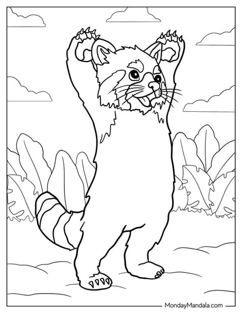 20 Red Panda Coloring Pages (Free PDF Printables)