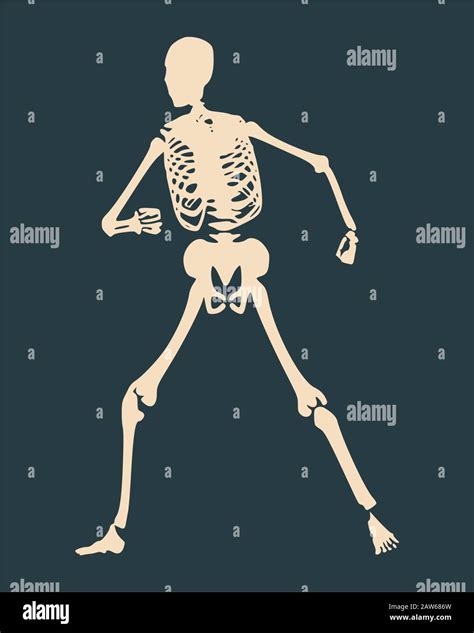 Halloween Human Skeleton Stock Vector Image And Art Alamy