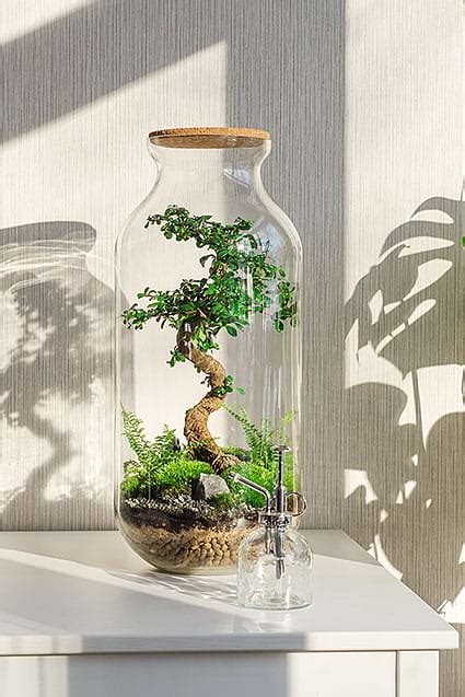 Флорариум - купить в Москве недорого | Магазин Moss-Florarium.ru