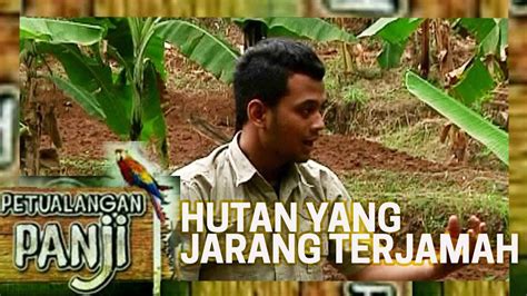 HUTAN YANG JARANG TERJAMAH OLEH MANUSIA PETUALANGAN PANJI YouTube