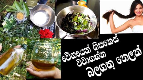 දිගු වරලසකට කැමති අයට හරියනම තෙලa Hair Oil For Long Hair Youtube