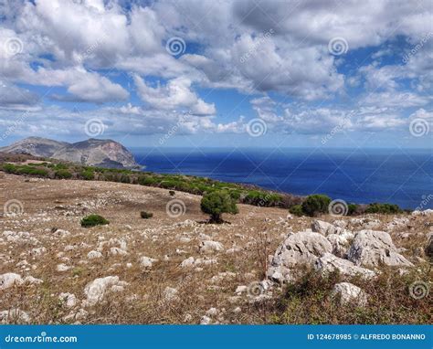 Monte Pellegrino Reserve In Palermo Stock Image Image Of Pellegrino