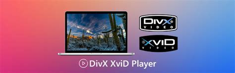 divx player play divx drm    devices