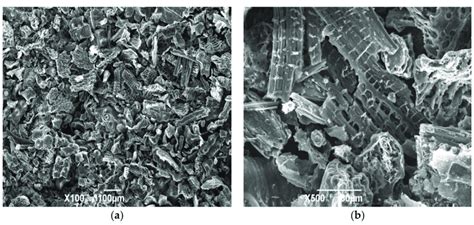 Biochar Particles With Different Amplification Ratios A B