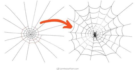 Spider Web With Spider Drawing